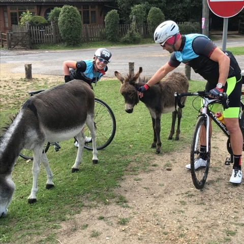 The President feeding the pony (New Forest)
